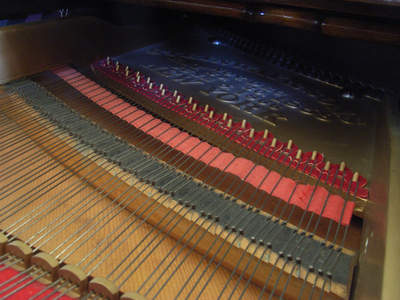 „Inside the Steinway“