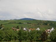 Auggener Schäf