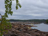 UPM Kaukas Papiermühle