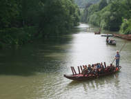 Stocherkähne auf dem Neckar