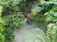 Tropenhaus, Bundesgartenschau